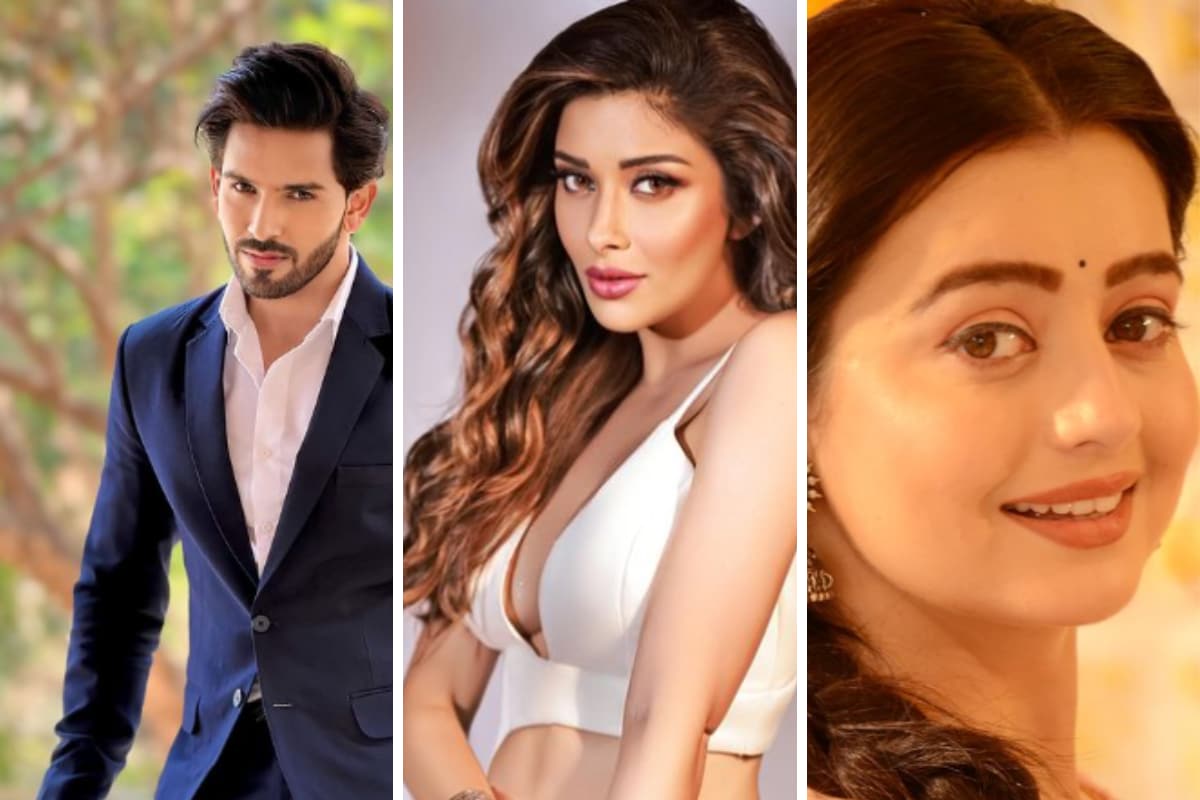 bigg-boss-18:-will-shehzada-dhami,-nyrraa-banerji,-chaahat-pandey-participate-in-the-show?