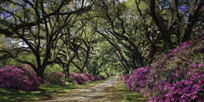 8-charming-small-towns-in-louisiana-you’ll-want-to-call-home