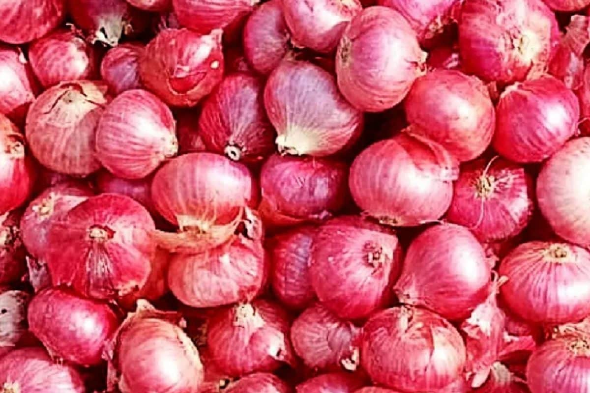 here’s-why-people-carry-onions-in-their-pockets-in-the-scorching-indian-summer
