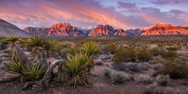 the-10-best-places-to-live-in-nevada-in-2024
