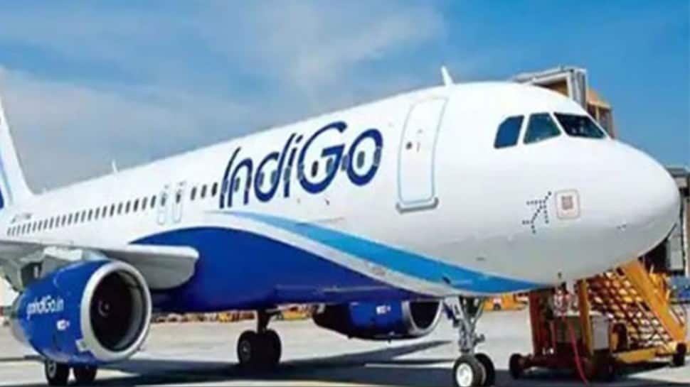 passenger-behaves-`inappropriately`-on-delhi-shirdi-indigo-flight-with-staff,-airline-responds