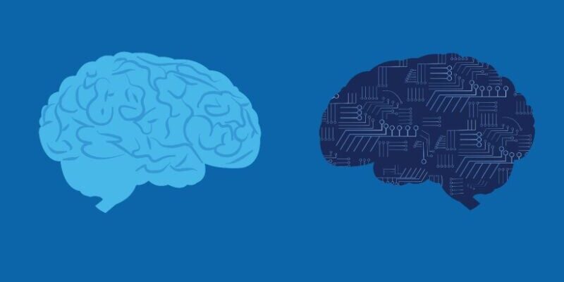 smes-in-the-age-of-ai:-when-expertise-matters-most
