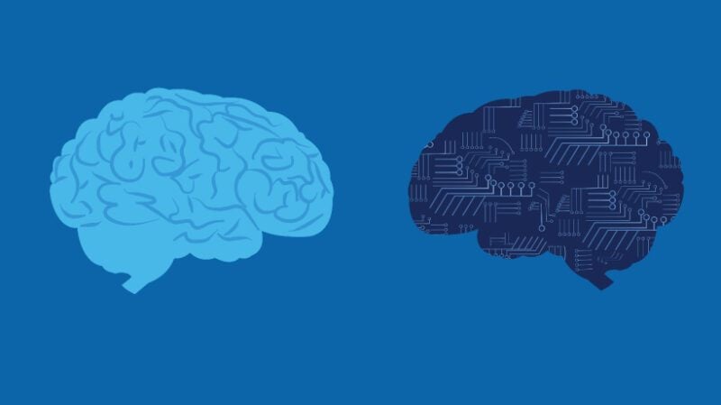 smes-in-the-age-of-ai:-when-expertise-matters-most