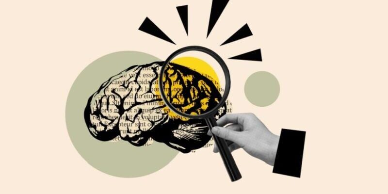neurolearning:-how-the-brain’s-ancient-storytelling-circuits-drive-elearning-success