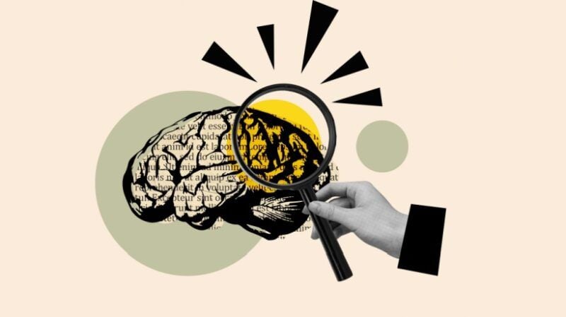neurolearning:-how-the-brain’s-ancient-storytelling-circuits-drive-elearning-success