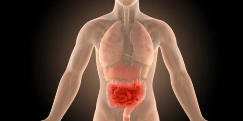crohn’s-disease:-understanding-the-symptoms,-risks,-and-insights