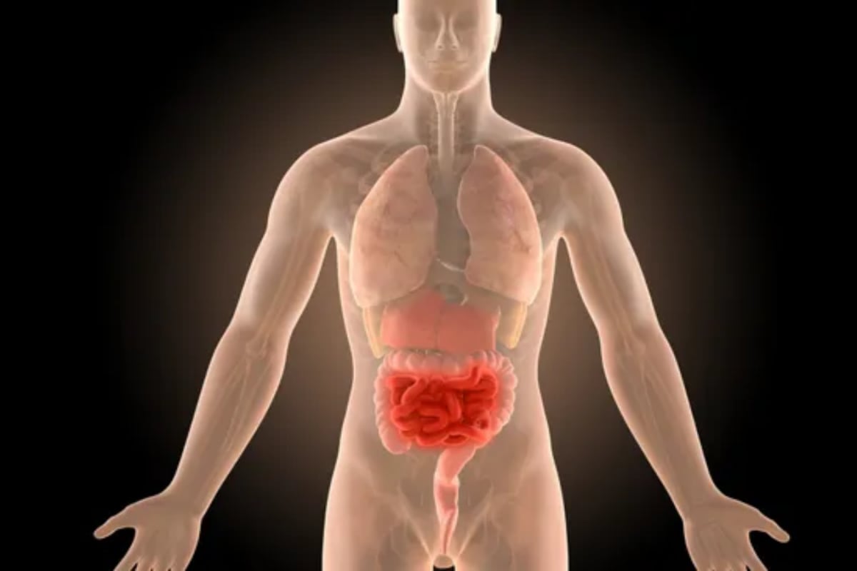 crohn’s-disease:-understanding-the-symptoms,-risks,-and-insights