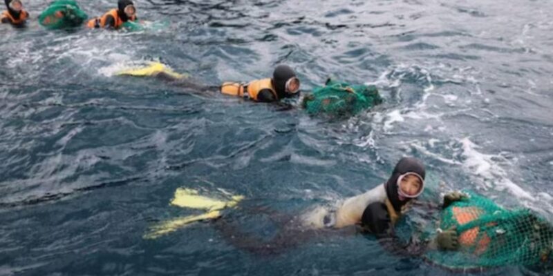 who-are-haenyeo?-these-women-dive-into-freezing-seas-without-oxygen-support