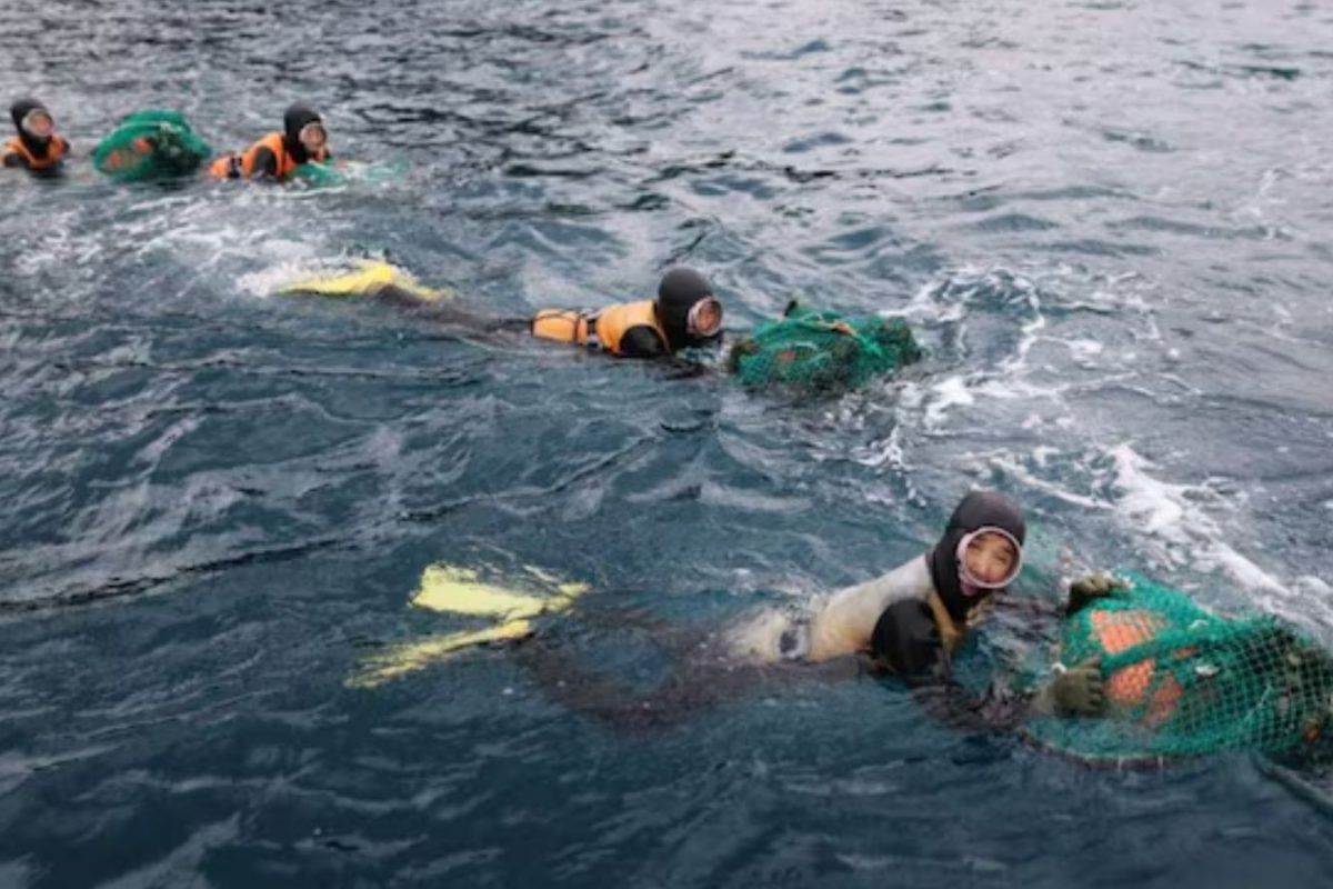 who-are-haenyeo?-these-women-dive-into-freezing-seas-without-oxygen-support