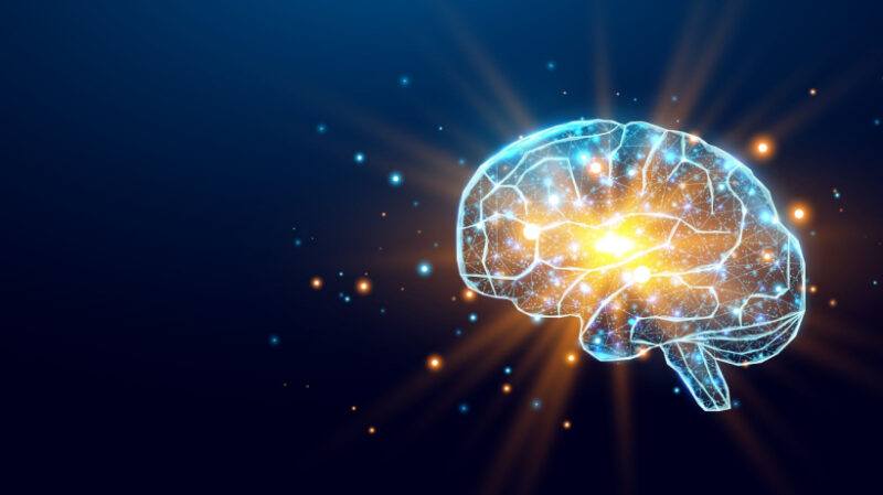 game-based-learning-isn’t-just-fun—it’s-neurologically-aligned
