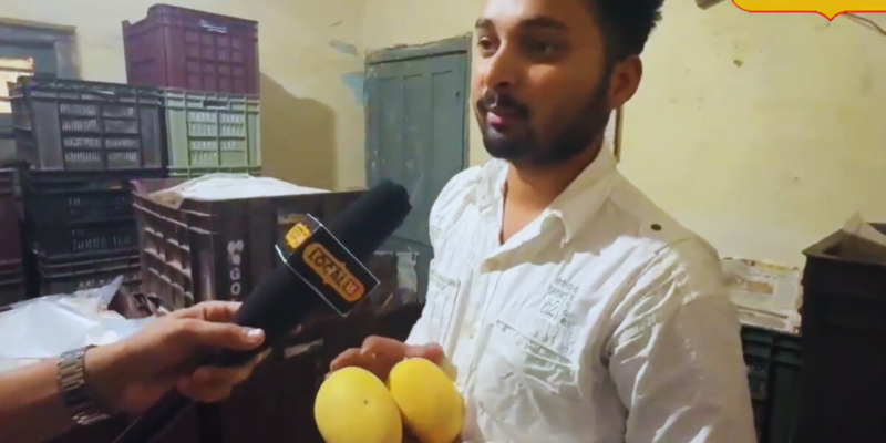 bhopal’s-jawahar-garden-grows-94-types-of-mango,-some-costing-rs-2,200-per-kilo