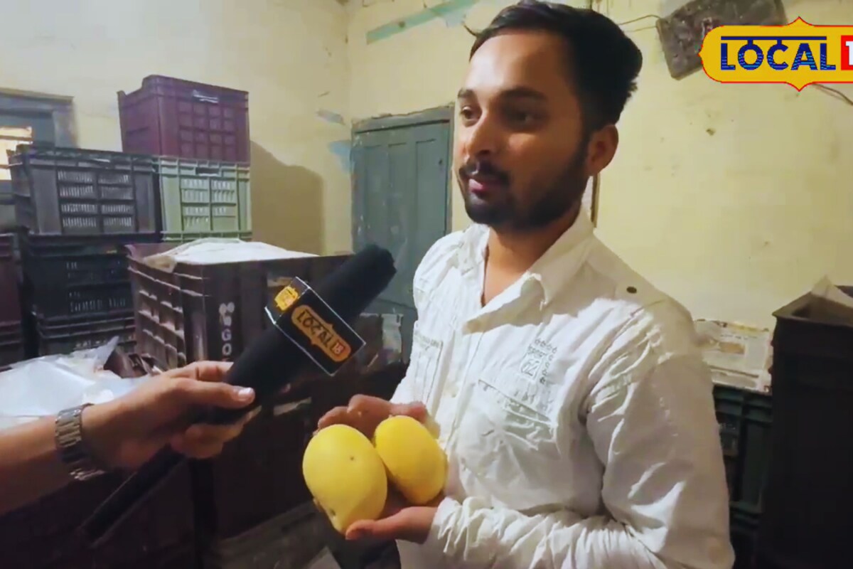 bhopal’s-jawahar-garden-grows-94-types-of-mango,-some-costing-rs-2,200-per-kilo