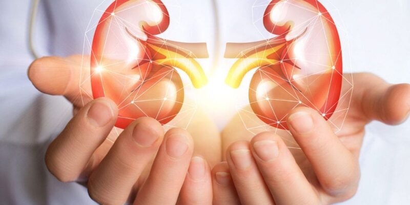 can-intermittent-fasting-keep-your-kidneys-healthy?-expert-reveals-the-truth
