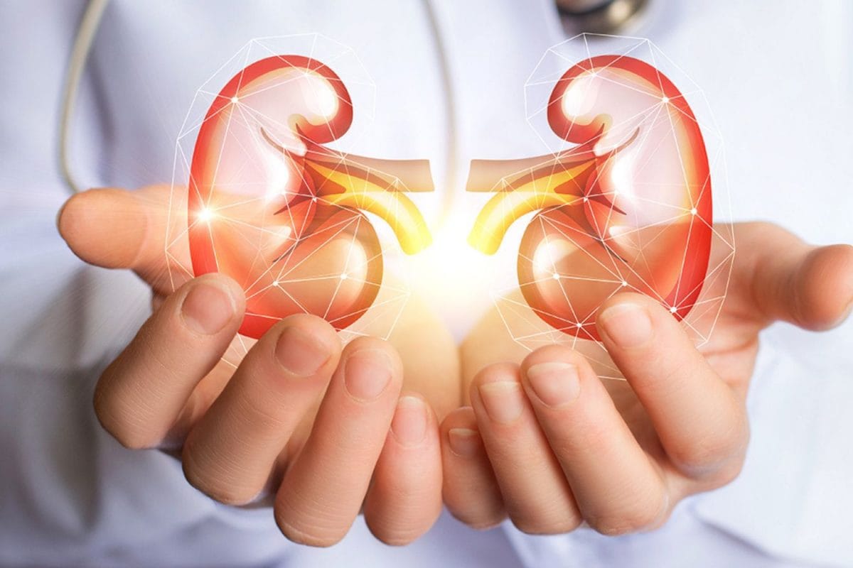 can-intermittent-fasting-keep-your-kidneys-healthy?-expert-reveals-the-truth