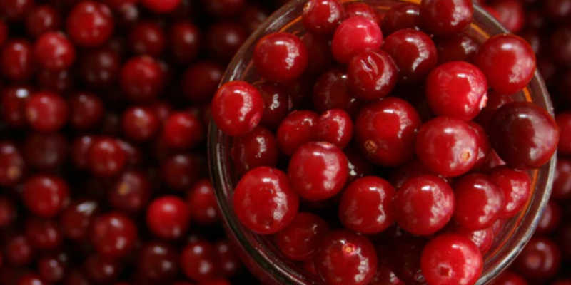 india-is-obsessed-with-cranberries-right-now-and-here’s-why