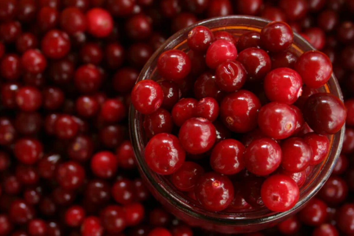 india-is-obsessed-with-cranberries-right-now-and-here’s-why