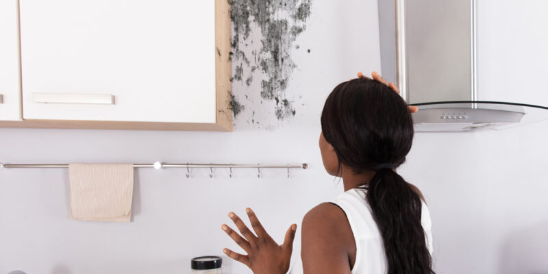 how-to-test-for-black-mold:-28-expert-tips-to-protect-yourself-and-your-home