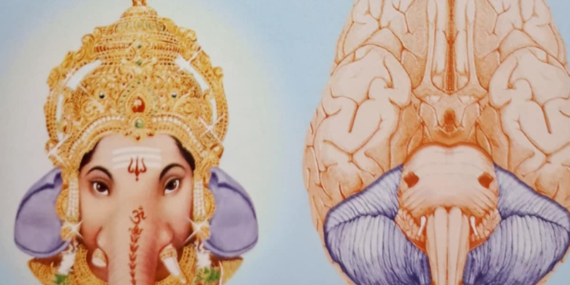 how-ganesha-resides-in-the-human-brain:-a-vedic-and-scientific-revelation