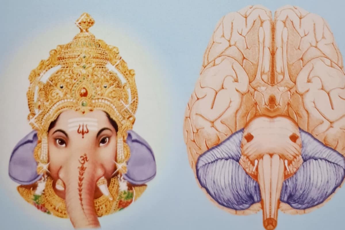 how-ganesha-resides-in-the-human-brain:-a-vedic-and-scientific-revelation