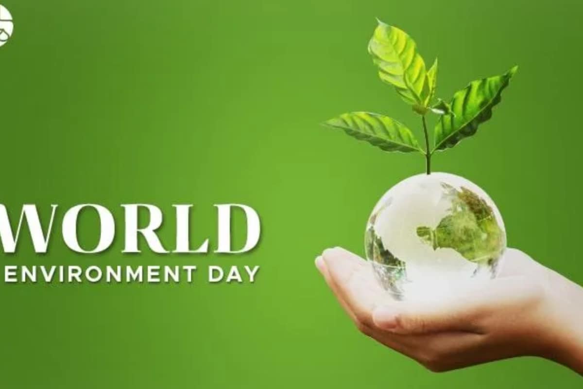 how-brands-are-acting-on-plastic-and-sustainability-this-world-environment-day