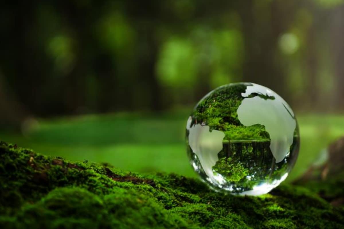 world-environment-day:-from-plastic-panic-to-planet-first-practice