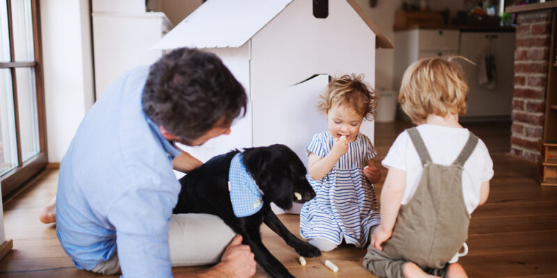 diy-dog-house:-10-expert-tips-for-the-perfect-pup-retreat