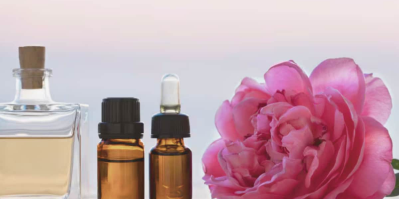 grow-this-rare-rose-and-its-oil-could-earn-you-rs-13-lakh-per-litre