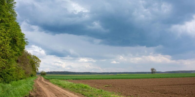 how-to-sell-land