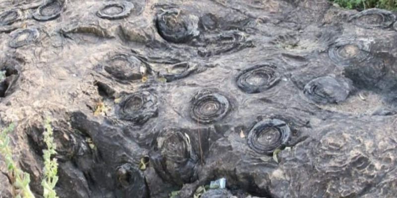 up’s-salkhan-fossils-park-joins-unesco’s-tentative-world-heritage-list