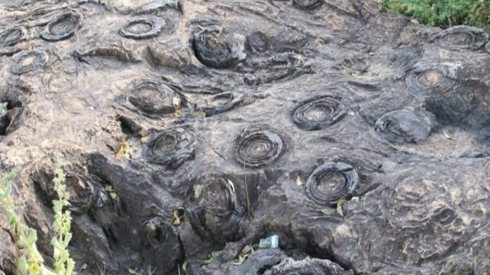 up’s-salkhan-fossils-park-joins-unesco’s-tentative-world-heritage-list