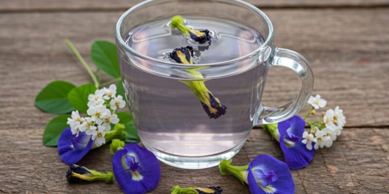 why-starting-your-day-with-blue-tea-might-be-a-game-changer-for-your-health