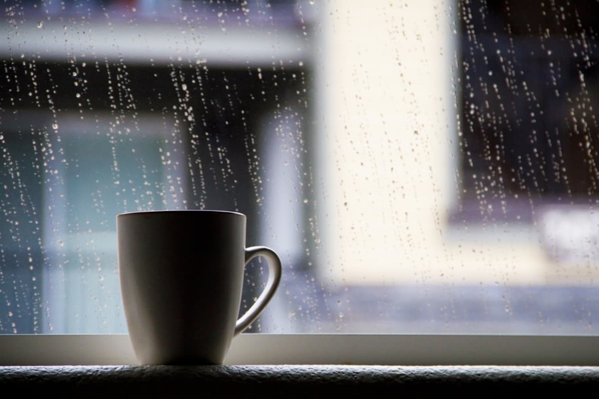 new-food-menus-in-mumbai-that-celebrate-the-monsoon-and-more