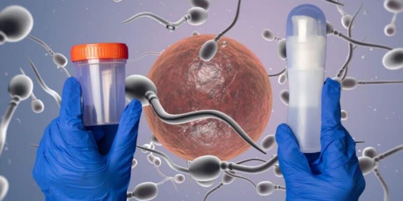 world-ivf-day:-a-step-by-step-guide-to-in-vitro-fertilization-(ivf)