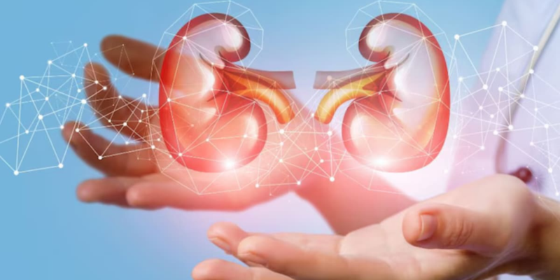 what-your-urine-says-about-your-kidney-health:-early-signs-you-shouldn’t-ignore